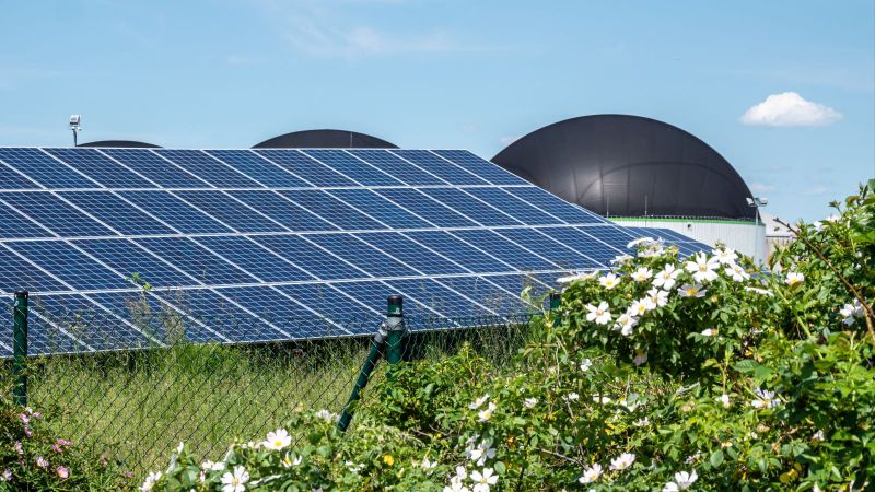 Solar- und Biogasanlagen. Im Vordergrund sind Blühende Büsche und im Hintergrund ein blauer Himmel mit vereinzelten Wolken zu sehen.