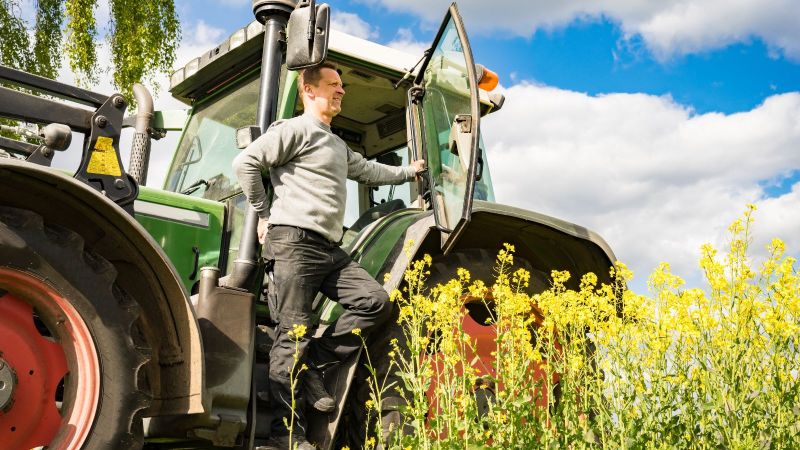 Ein Bauer steht in der Tür seines großen Traktors und schaut zufrieden über sein Rapsfeld.