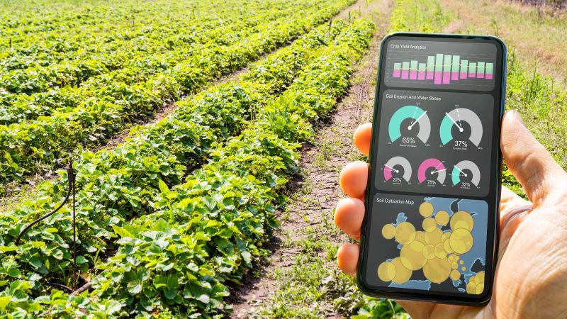 Hand mit Smartphone in der Hand im Vordergrund und im Hintergrund ein Feld.