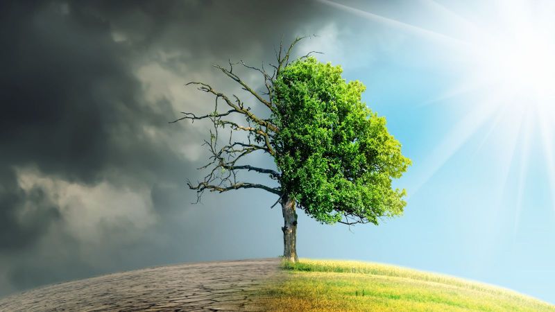 Ein Baum steht auf einer gekrümmten Erdoberfläche. Auf der linken Seite ist der Boden aufgerissen, darüber graue Wolken hinweg. Rechts ist eine grüne Wiese unter blauem Himmel. 