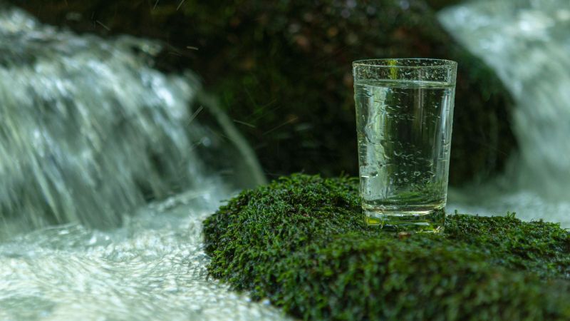 Wasserglas steht auf einem moosbewachsenen Stein der in einem Flussabshnitt steht.