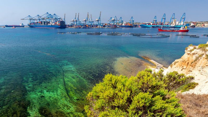 Der Blick des Betrachters fällt von der Küste aus auf einen nahelliegenden Kontainerhafen mit blauen Kränen. Im Uferbereich schimmern Algen durch das seichte grüne Wasser.