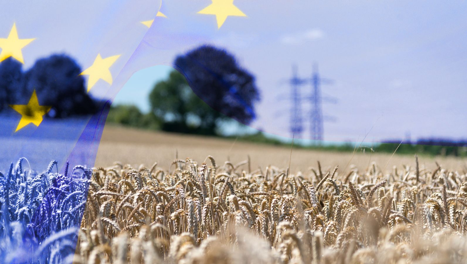 Eine transparente Flagge der Europäischen Union weht in das Landschaftsbild eines Kornfeldes. Im Hintergrund erkennt man die verschwommene Siluette vereinzelter Bäume sowie eines Höchstspannungsmastes.