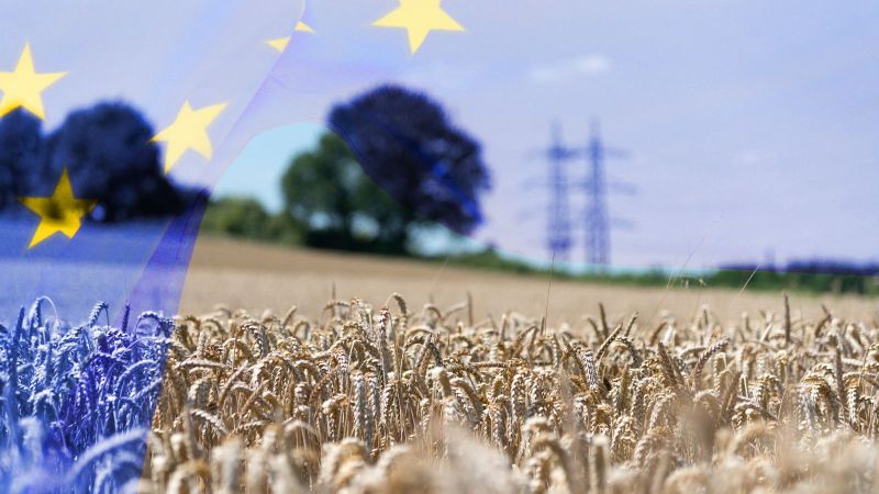 Eine transparente Flagge der Europäischen Union weht in das Landschaftsbild eines Kornfeldes. Im Hintergrund erkennt man die verschwommene Siluette vereinzelter Bäume sowie eines Höchstspannungsmastes.