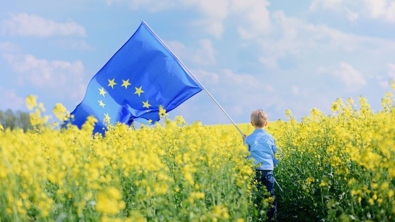 Kleiner Junge steht in einem Rapsfeld und hält eine wehende EU-Fahne in die Höhe. 