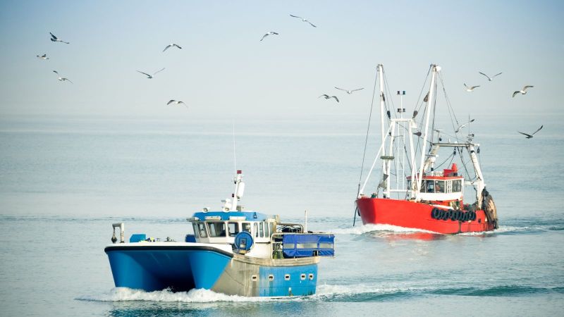 Im Vordergrund ein blauer Katamaran auf dem Meer, dahinter ein roter Fischkutter, über dem Möven fliegen