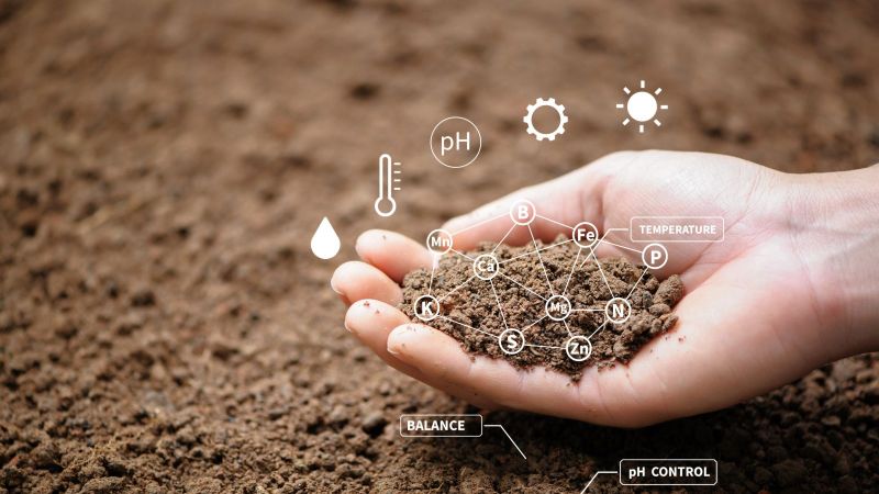 Über dem Boden hält eine Hand eine Handvoll Erde. Darüber liegt eine digitale Illustration mit den Abkürzungen verschiedener Elemente und von Einflussfaktoren wie Sonne, Temperatur und pH-Wert.