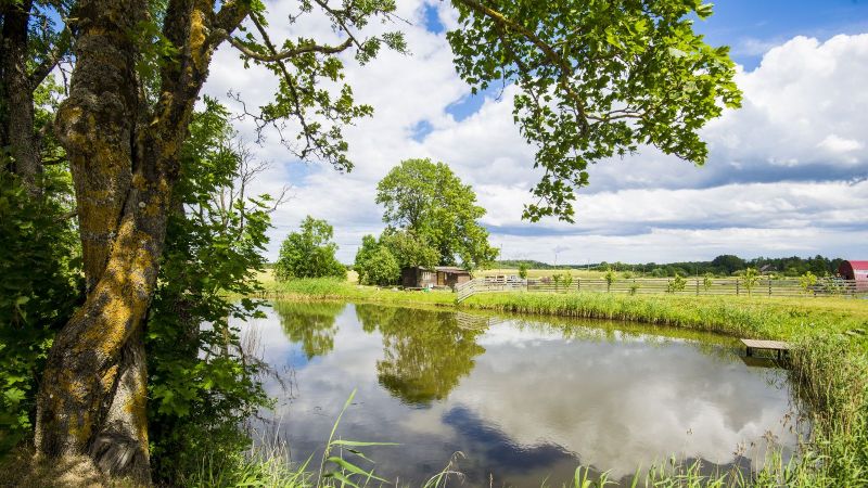 Tümpel in der Landschaft, mit Landwirtschaftlichem Betrieb im Hintergrund 