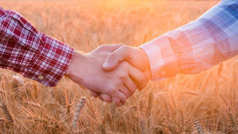 Vor dem Hintergrund eines goldbraunen Kornfeldes schütteln sich zwei Männer die Hände.