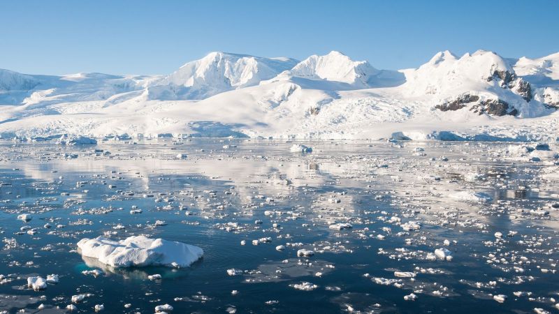 Eisschollen treiben auf einem ruhigen Meer.