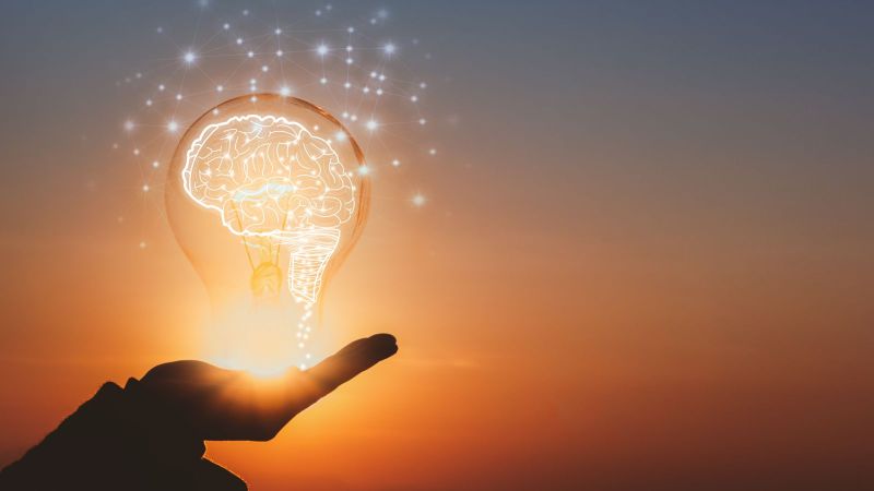 Eine Hand hält eine Glübirne mit einem gezeichneten, leuchtend-weißen Hirn darin. Im Hintergrund ist ein Sonnenuntergangshimmel zu sehen.