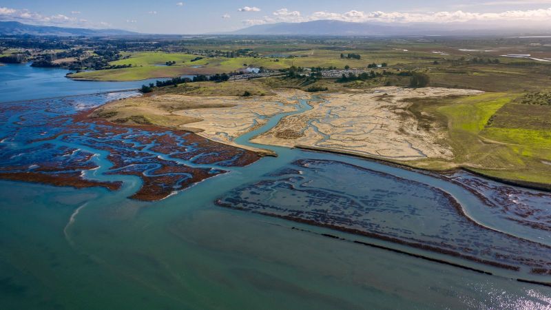 Vor einer mit grünen Wiesen und kleineren Ortschaften bedeckten leicht hügeligen Küste liegt ein Gezeitensumpf, in dem mäandernde Ausläufer eines ins Meer mündenden Flusses sichtbar sind.