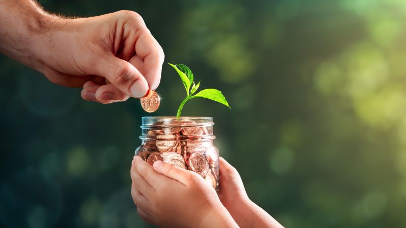 Kinderhände halten ein volles Münzglas. Von oben reicht eine erwachsene Hand eine Münze in das Bild um sie in das Glas fallen zu lassen. Aus dem Münzglas wächst eine kleine Pflanze. Im Hintergrund sind verschwommen grüne Pflanzen zu erkennen.