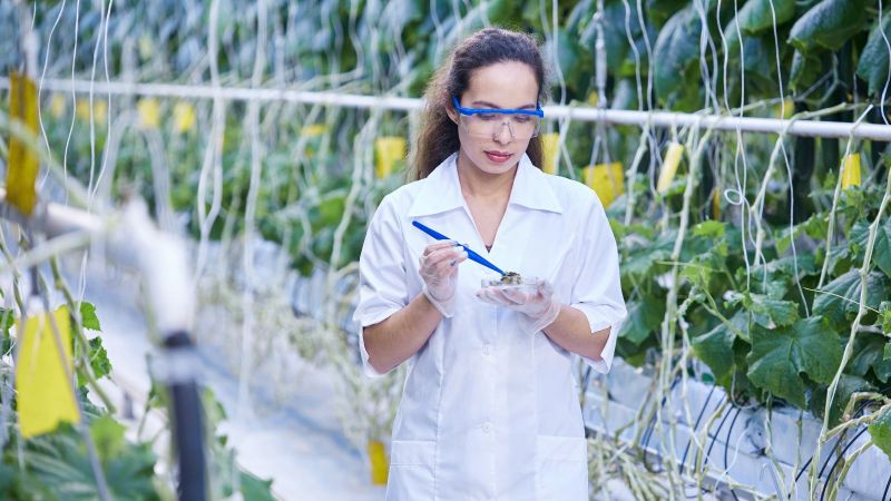 Wissenschaftlerin entnimmt Proben in modernem Gewächshaus