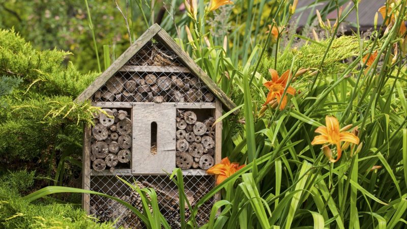 Ein hölzernes Insektenhotel steht in einer Blumenwiese mit Lilien.