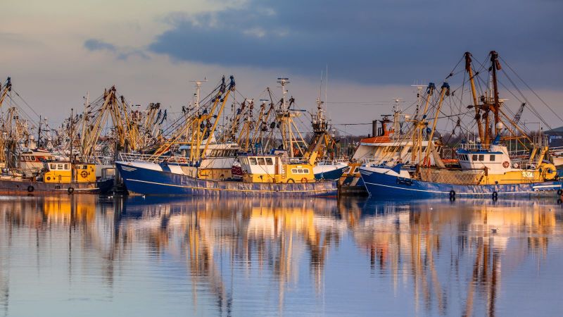 Mehrere bunte Fischerboote liegen dicht an dicht in einem ruhigen Hafen und spiegeln sich im glatten Wasser unter einem leicht bewölkten Himmel.