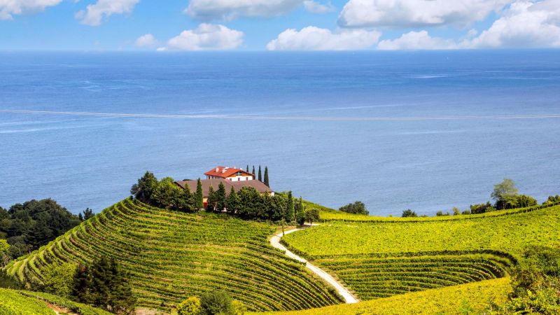 Ein mediterranes Anwesen auf einem Hügel, umgeben von Rebflächen. Im Hintergrund ist das Meer und blauer, leicht bewölkter Himmel zu sehen.