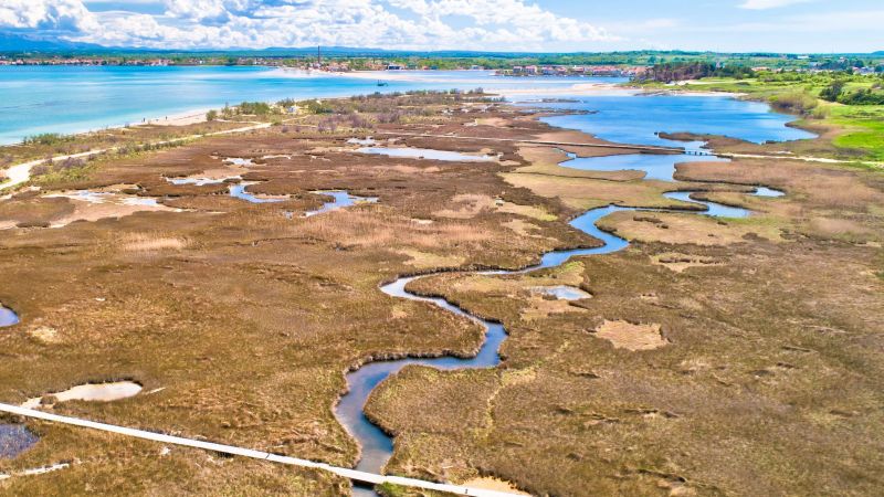 Ein Fluss schlängelt sich durch Marschland auf das Meer zu. Im Delta liegt eine Gemeinde.