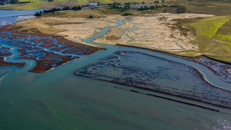 Vor einer mit grünen Wiesen und kleineren Ortschaften bedeckten leicht hügeligen Küste liegt ein Gezeitensumpf, in dem mäandernde Ausläufer eines ins Meer mündenden Flusses sichtbar sind.