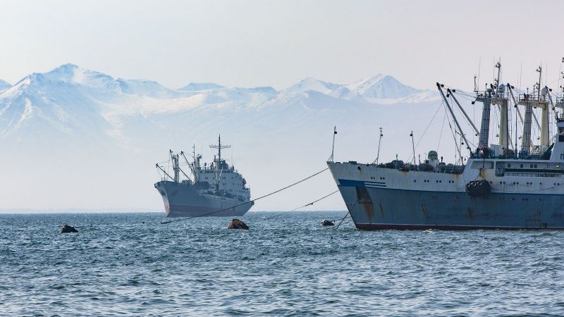 2 riesige Fischereischiffe im Meer vor nebligen, schneebedeckten Bergen im Hintergrund