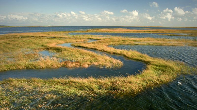 Flussdelta mit überschwemmten Grasflächen, im Hintergrund bewölkter Himmel.