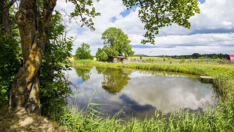 Tümpel in der Landschaft, mit landwirtschaftlichem Betrieb im Hintergrund
