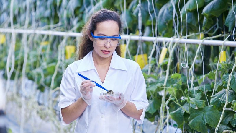 Wissenschaftlerin entnimmt Proben in modernem Gewächshaus