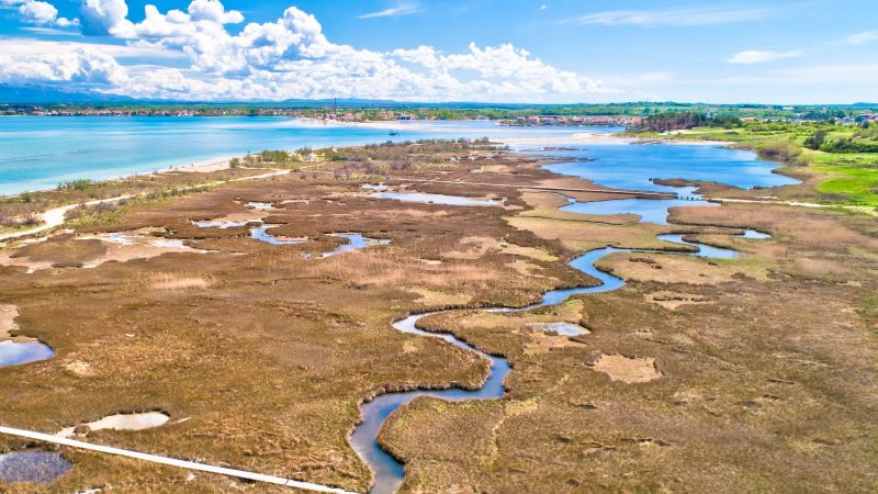 Ein Fluss schlängelt sich durch Marschland auf das Meer zu. Im Delta liegt eine Gemeinde.