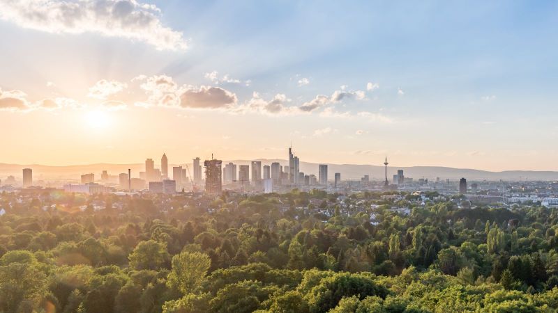 Die Skyline von Frankfurt im Sonnenlicht.