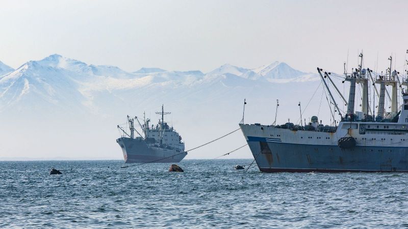 2 riesige Fischereischiffe im Meer vor nebligen, schneebedeckten Bergen im Hintergrund