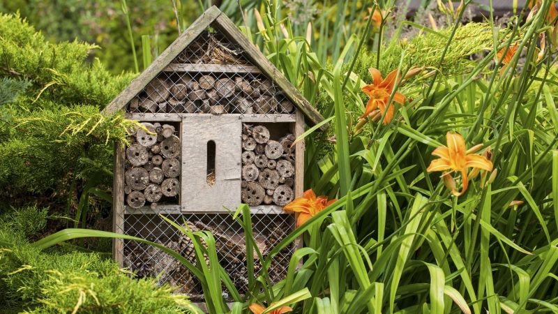 Ein hölzernes Insektenhotel steht in einer Blumenwiese mit Lilien.