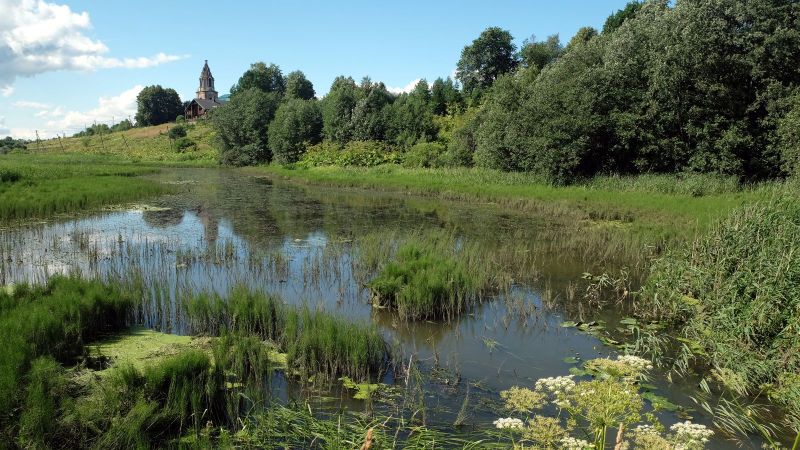 Grünes Landschaftsbild mit Tümpel im Vordergrund und Dorfkirche im Hintergrund