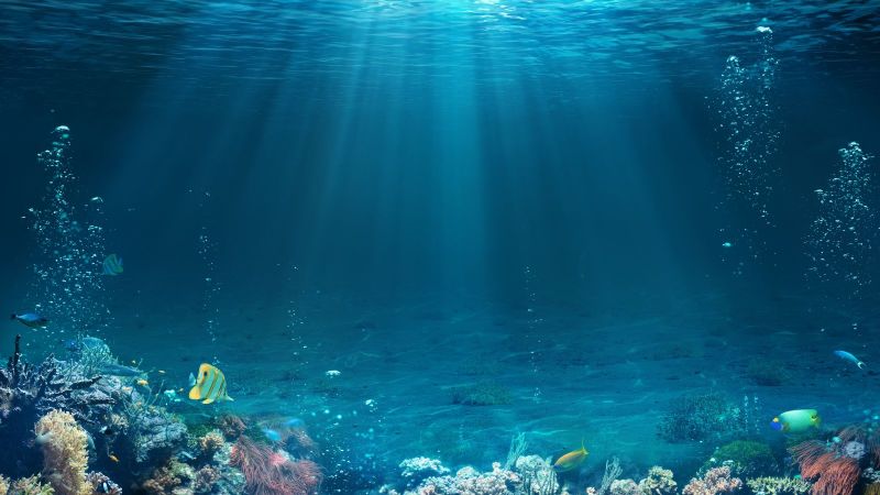 Sonnenstrahlen durchdringen das hellblaue Wasser über einem Korallenriff, durch das exotische Fische schwimmen.