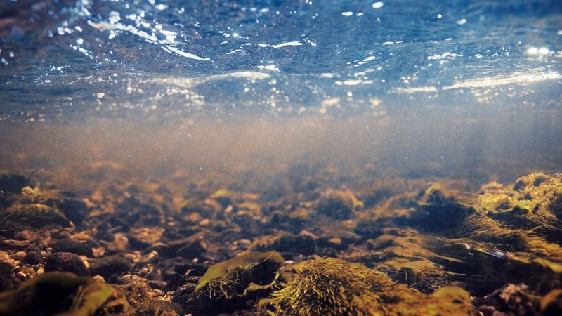 Unterwasser, Sonnestrahlen scheinen durch bewegtes Wasser auf den Boden herab.