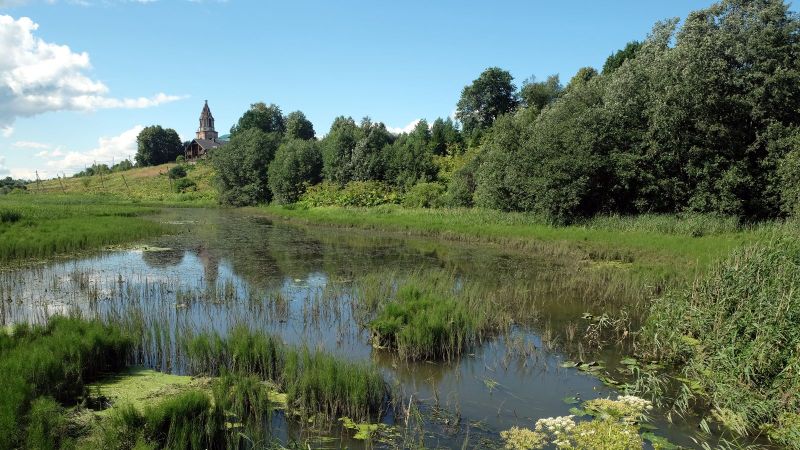 Grünes Landschaftsbild mit Tümpel im Vordergrund und Dorfkirche im Hintergrund