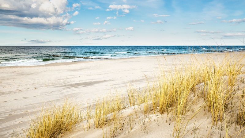 Strand mit Anfang von bewachsenen Dünen im Vordergrund und weites Meer und Himmel im Hintergrund