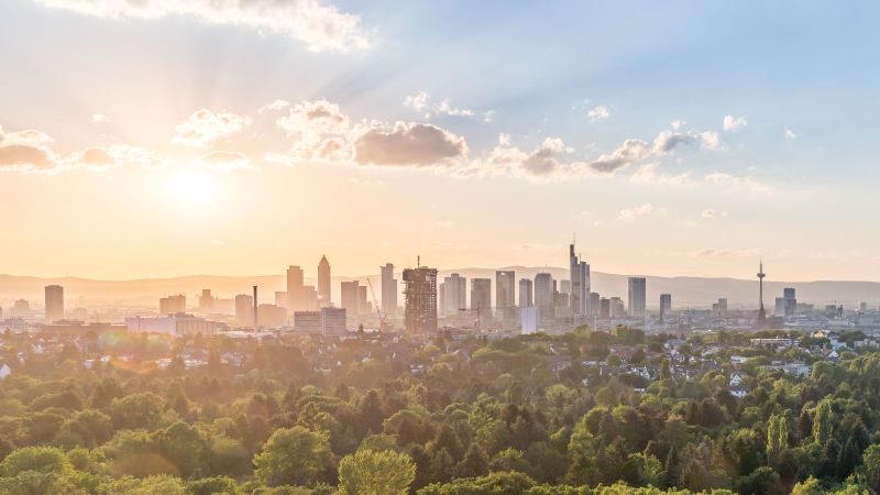 Die Skyline von Frankfurt im Sonnenlicht.