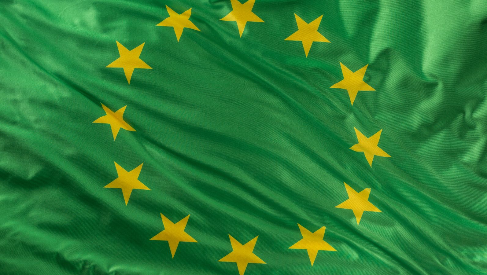 Eine grüne Europaflagge.
