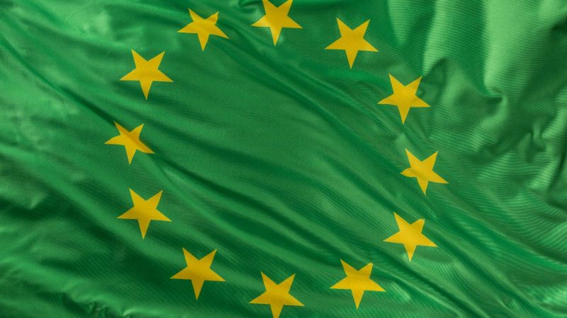 Eine grüne Europaflagge.