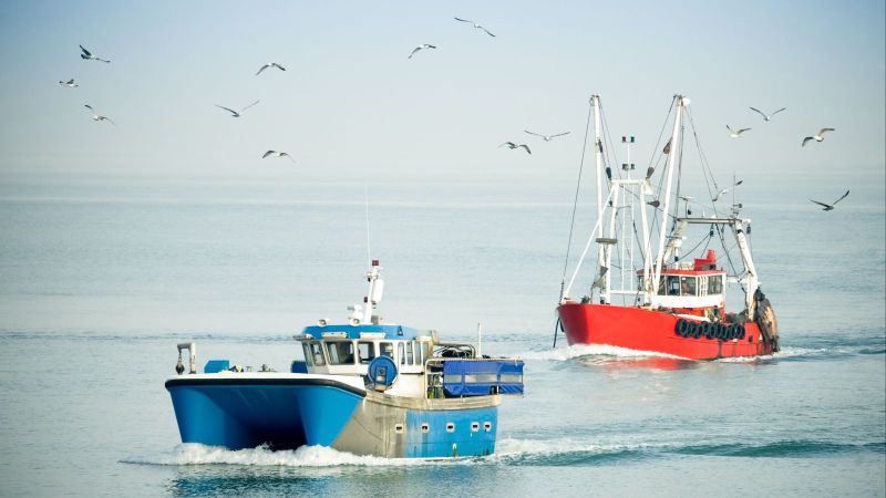 Im Vordergrund ein blauer Katamaran auf dem Meer, dahinter ein roter Fischkutter, über dem Möven fliegen.