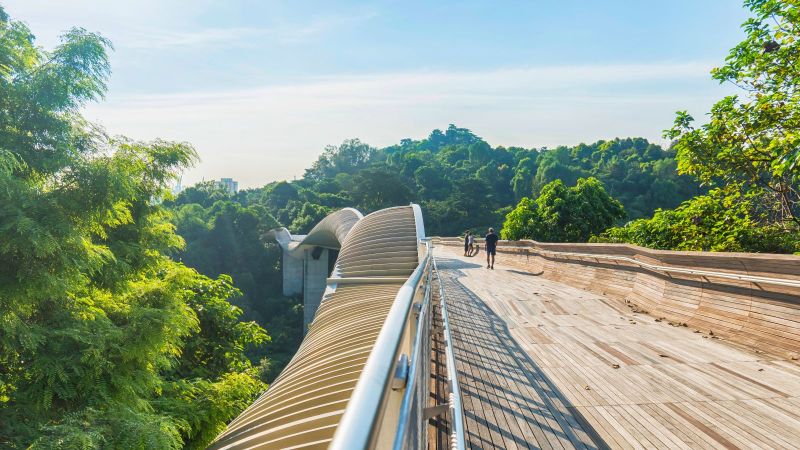 Eine moderne Brücke aus Holz führt über grüne Baumkronen hinweg. Einige Personen stehen auf der Brücke. Die Sonne scheint und der Himmel ist blau.