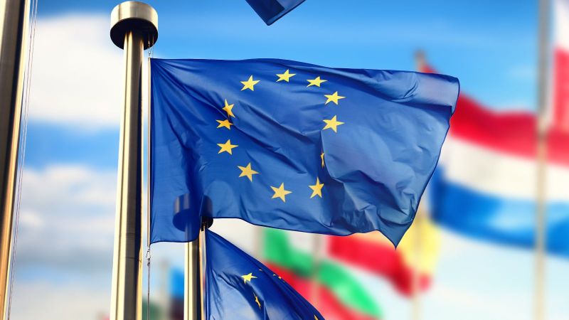 Im Vordergrund weht die EU-Flagge im Wind. Im Hintergrund sind die Flaggen einiger EU-Mitgliedsstaaten zu sehen.