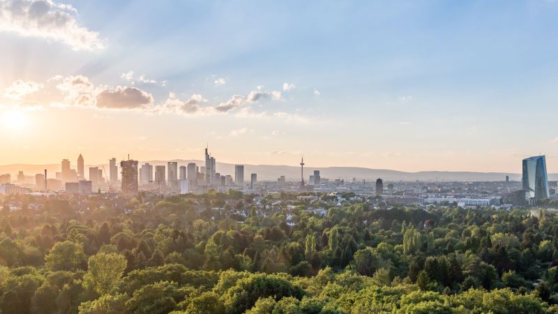 Die Skyline von Frankfurt im Sonnenlicht.