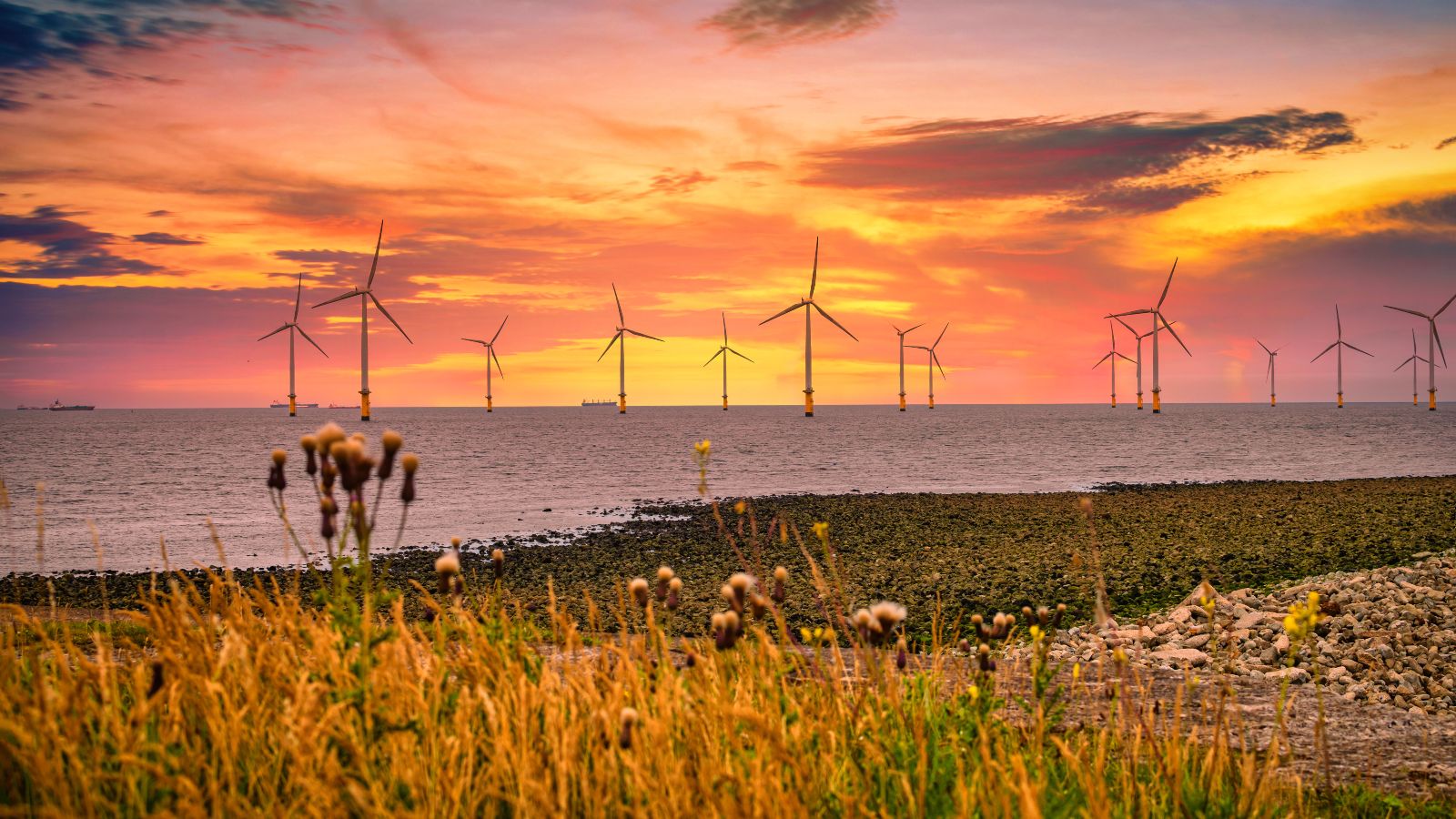 Offshore Windpark bei Sonnenuntergang. Küste im Vordergrund zu sehen.