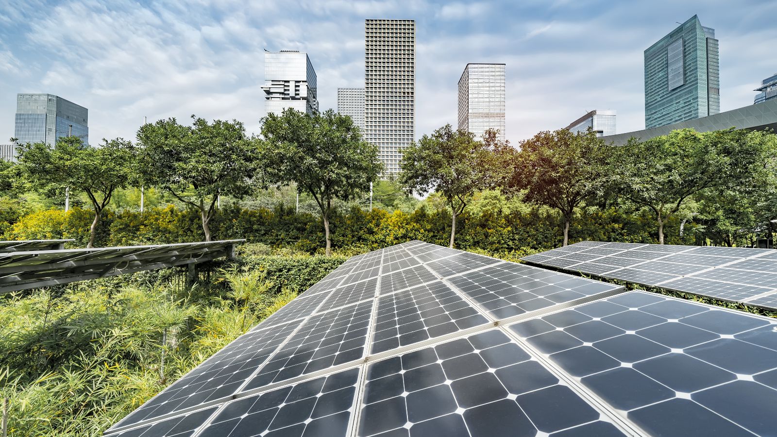 Solaranlagen stehen auf einer begrünten Fläche. Im Hintergrund befinden sich Hochhäuser.