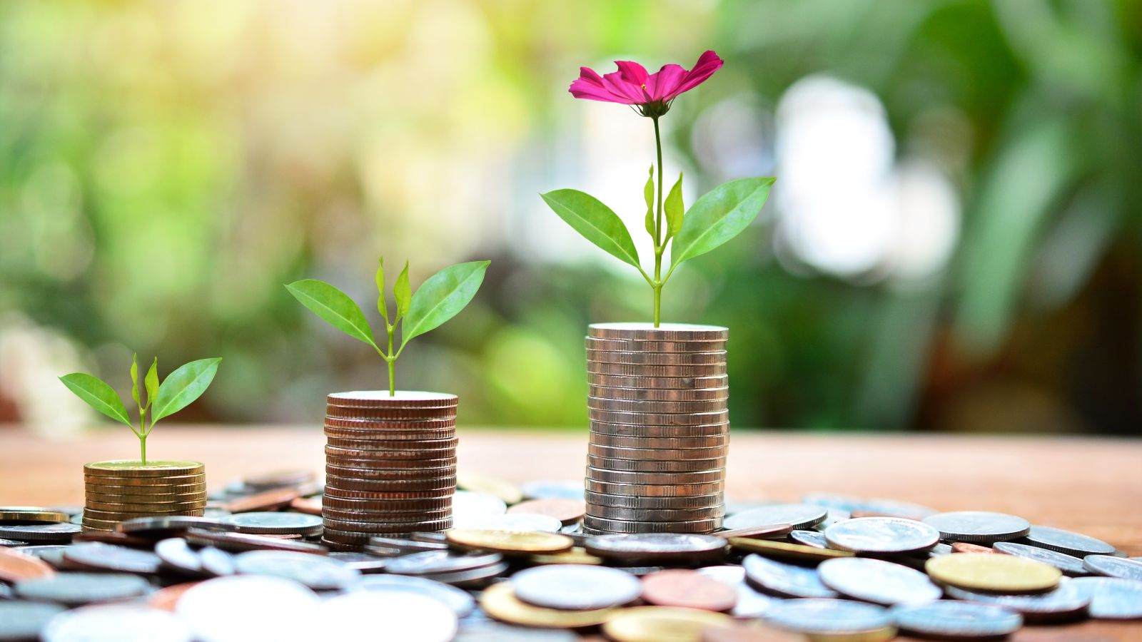 Münzen liegen auf einem Tisch. Drei Münzstapel sind in aufsteigender Reihenfolge sortiert. Auf ihnen wachsen von Stapel zu Stapel größer werdende Blumen. Im Hintergrund sind verschwommen grüne Pflanzen zu erkennen.