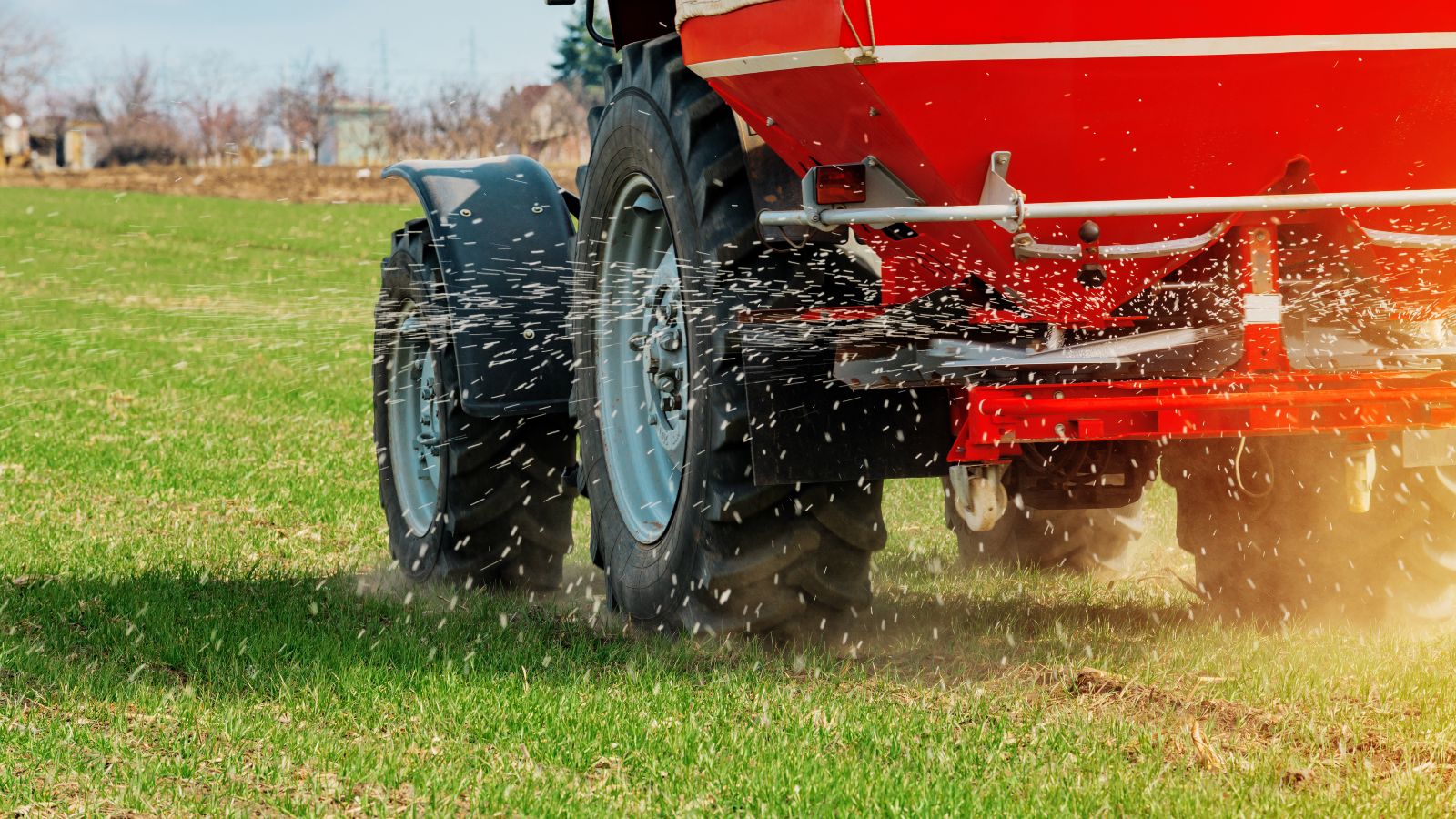Ein Traktor verteilt Düngemittel mithilfe seines angekoppelten Schleuderstreuers auf einer stoppeligen Rasenfläche.