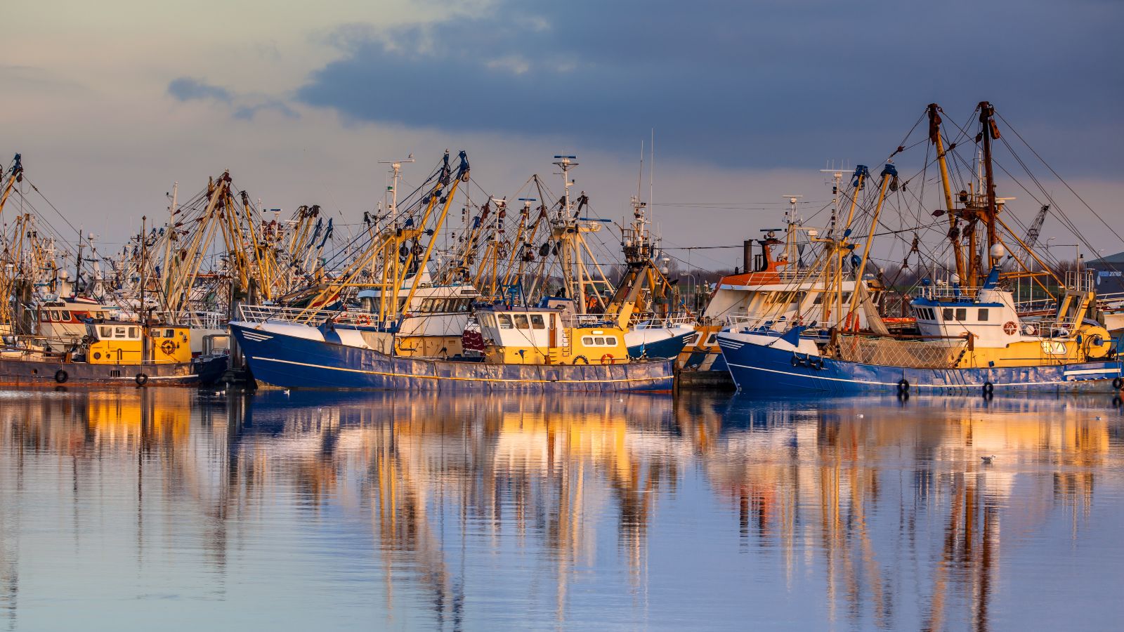 Mehrere bunte Fischerboote liegen dicht an dicht in einem ruhigen Hafen und spiegeln sich im glatten Wasser unter einem leicht bewölkten Himmel.