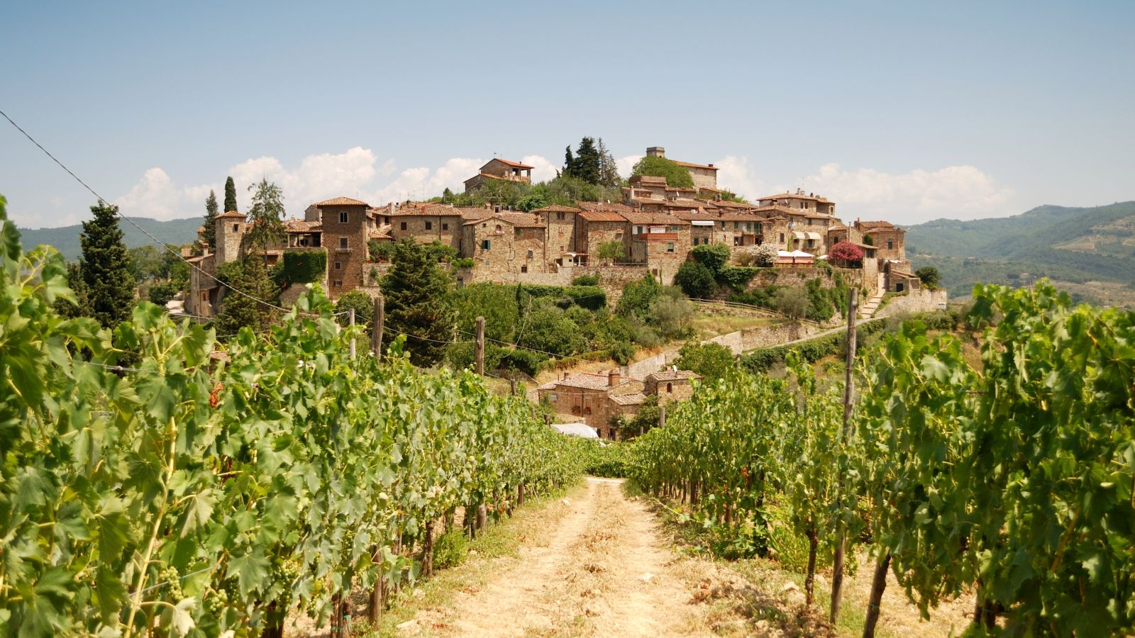 Ein malerisches italienisches Dorf mit historischen Steinhäusern. Im Vordergrund sind grüne Weinreben