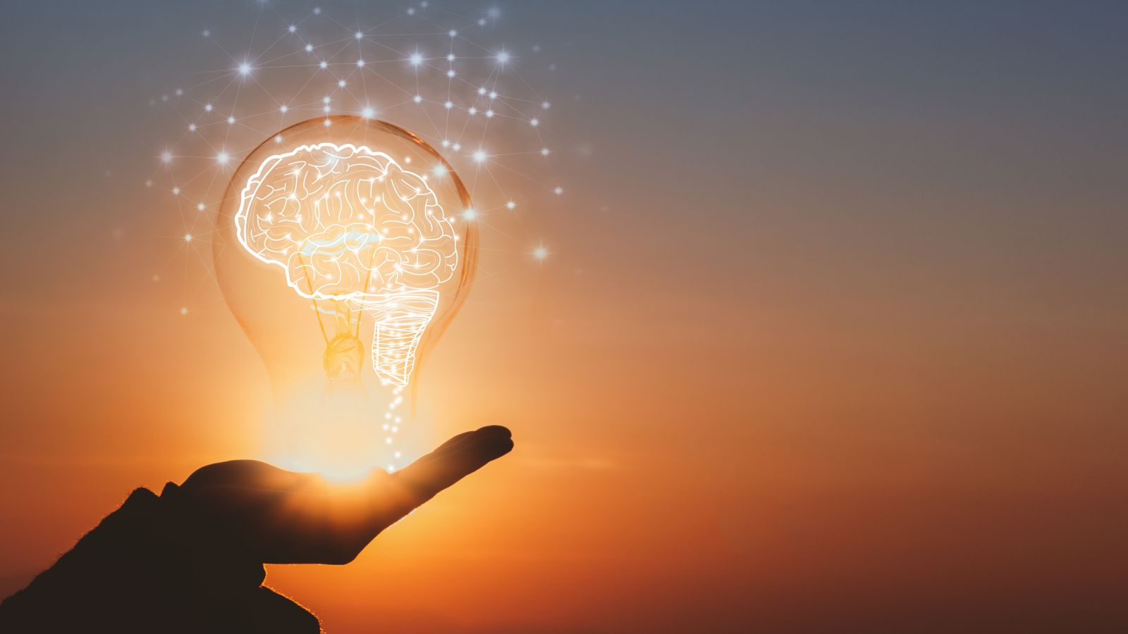 Eine Hand hält eine Glübirne mit einem gezeichneten, leuchtend-weißen Hirn darin. Im Hintergrund ist ein Sonnenuntergangshimmel zu sehen.